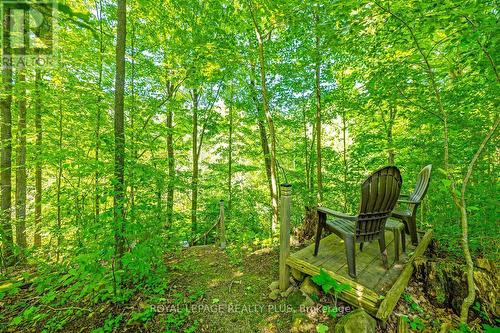 12284 Eighth Line, Halton Hills, ON - Outdoor