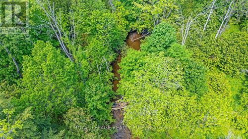 12284 Eighth Line, Halton Hills, ON - Outdoor