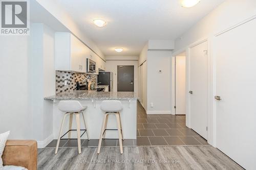 201 - 53 Arthur Street S, Guelph, ON - Indoor Photo Showing Kitchen