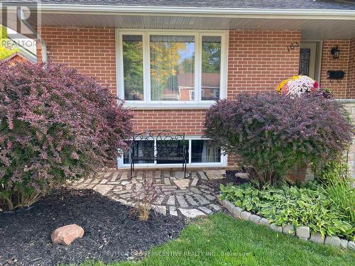 163 Clapperton Street, Barrie, ON - Outdoor With Deck Patio Veranda