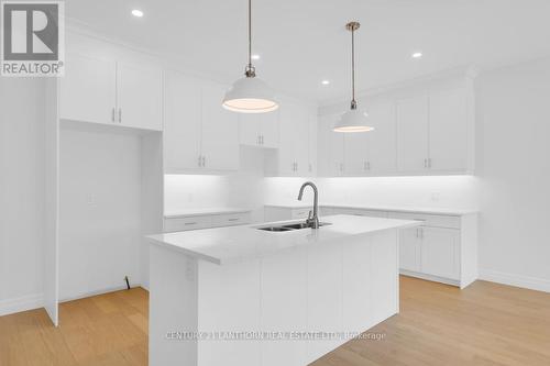 71 Seymour Street W, Centre Hastings, ON - Indoor Photo Showing Kitchen With Upgraded Kitchen