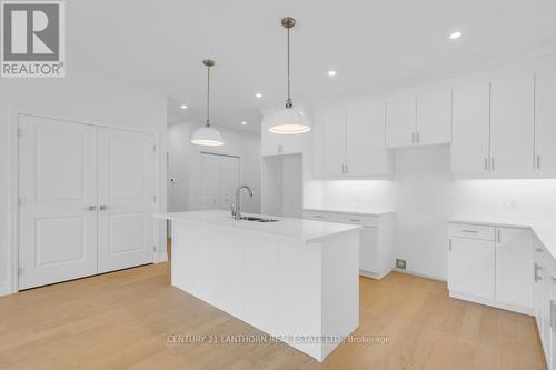 71 Seymour Street W, Centre Hastings, ON - Indoor Photo Showing Kitchen With Upgraded Kitchen