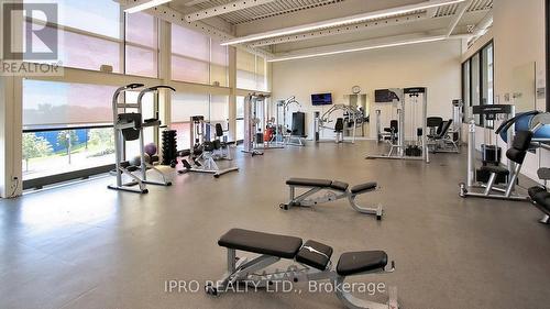 1002 - 19 Singer Court, Toronto, ON - Indoor Photo Showing Gym Room