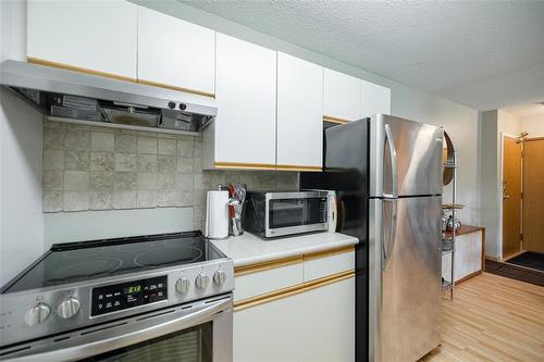 202 693 St Anne'S Road, Winnipeg, MB - Indoor Photo Showing Kitchen