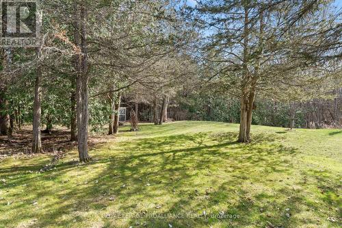 374 Scuttlehole Road, Belleville, ON - Outdoor With View