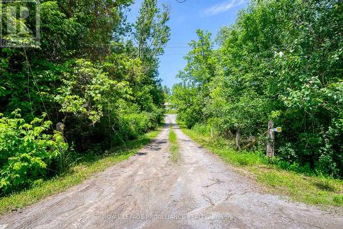 3326 Shelter Valley Road, Alnwick/Haldimand, ON - Outdoor