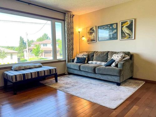 8 Anne Crescent, Kenora, ON - Indoor Photo Showing Living Room