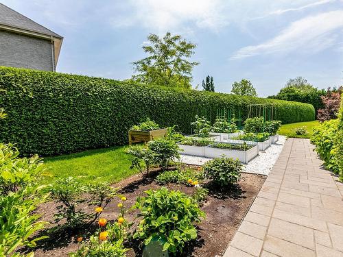 Backyard - 3625 Rue De Lisbonne, Brossard, QC - Outdoor