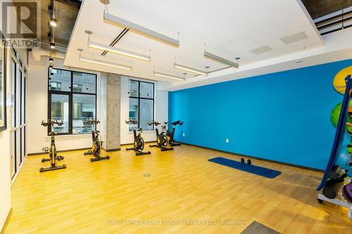 1017 - 105 Champagne Avenue S, Ottawa, ON - Indoor Photo Showing Gym Room