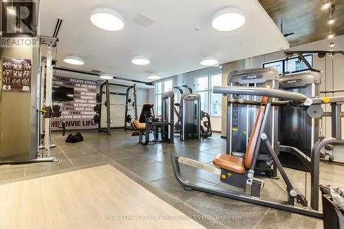 1017 - 105 Champagne Avenue S, Ottawa, ON - Indoor Photo Showing Gym Room