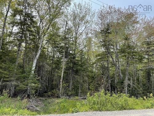 Beverly'S Hill Road, Baddeck Inlet, NS 