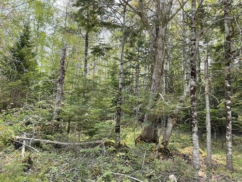 Beverly'S Hill Road, Baddeck Inlet, NS 