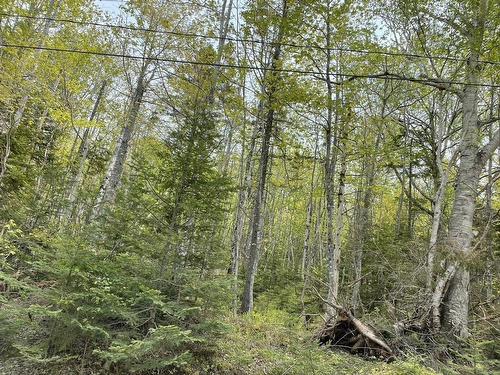 Beverly'S Hill Road, Baddeck Inlet, NS 