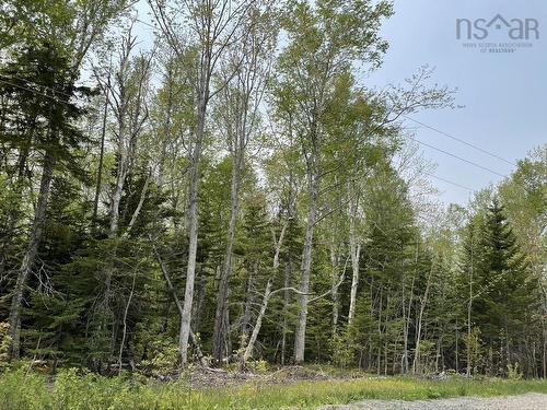 Beverly'S Hill Road, Baddeck Inlet, NS 