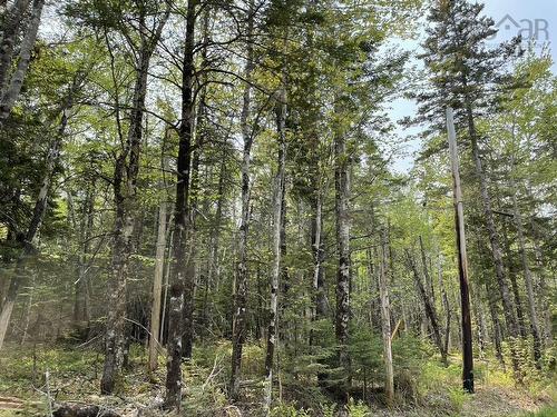 Beverly'S Hill Road, Baddeck Inlet, NS 