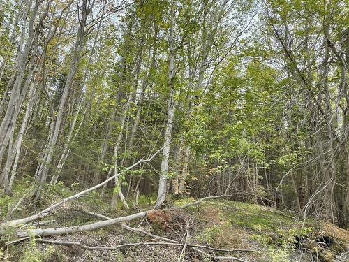 Beverly'S Hill Road, Baddeck Inlet, NS 