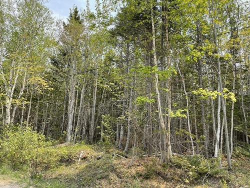 Beverly'S Hill Road, Baddeck Inlet, NS 