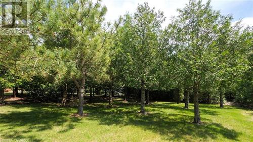 123 Pine Tree Harbour Road, Northern Bruce Peninsula, ON - Outdoor