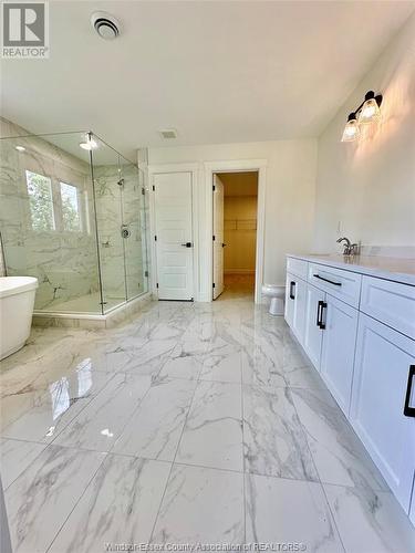 93 Belleview Road, Kingsville, ON - Indoor Photo Showing Bathroom