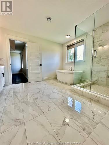 93 Belleview Road, Kingsville, ON - Indoor Photo Showing Bathroom