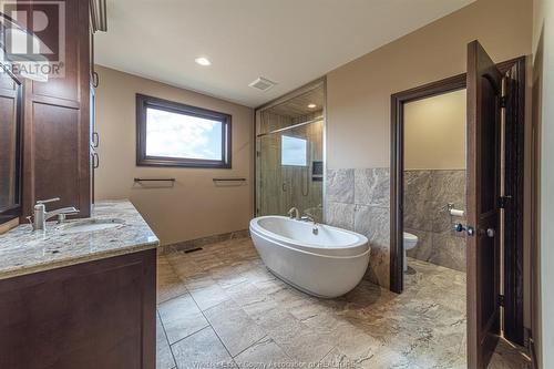 2000 Kelly Road, Lasalle, ON - Indoor Photo Showing Bathroom