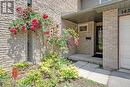 1427 Ester Drive, Burlington, ON  - Outdoor 