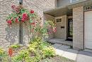 1427 Ester Drive, Burlington, ON  - Outdoor 