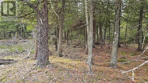 Lt 255 Pl 433 Pedwell Pt Drive, Northern Bruce Peninsula, ON 