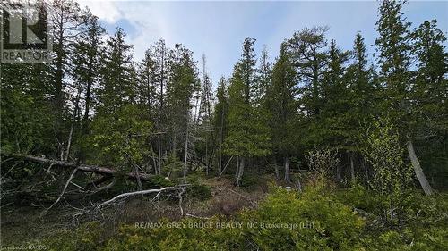 Lt 255 Pl 433 Pedwell Pt Drive, Northern Bruce Peninsula, ON 