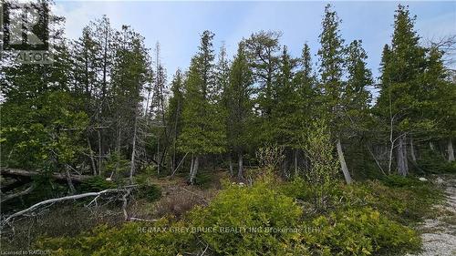 Lt 255 Pl 433 Pedwell Pt Drive, Northern Bruce Peninsula, ON 