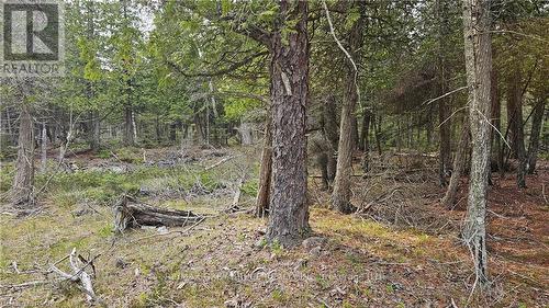 Lt 255 Pl 433 Pedwell Pt Drive, Northern Bruce Peninsula, ON 