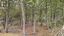 Lt 255 Pl 433 Pedwell Pt Drive, Northern Bruce Peninsula, ON 