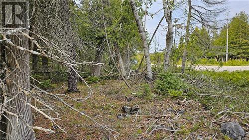 Lt 255 Pl 433 Pedwell Pt Drive, Northern Bruce Peninsula, ON 