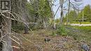 Lt 255 Pl 433 Pedwell Pt Drive, Northern Bruce Peninsula, ON 