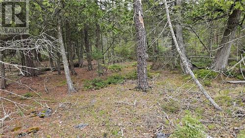 Lt 255 Pl 433 Pedwell Pt Drive, Northern Bruce Peninsula, ON 