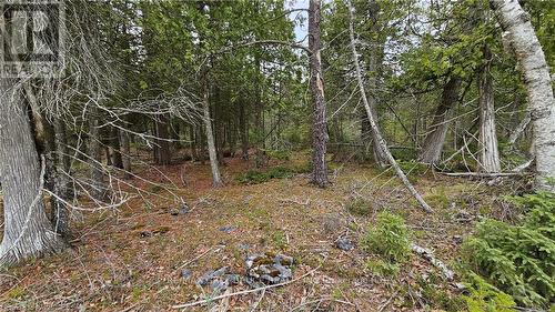 Lt 255 Pl 433 Pedwell Pt Drive, Northern Bruce Peninsula, ON 