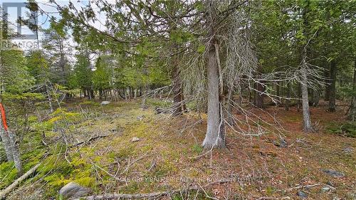 Lt 255 Pl 433 Pedwell Pt Drive, Northern Bruce Peninsula, ON 