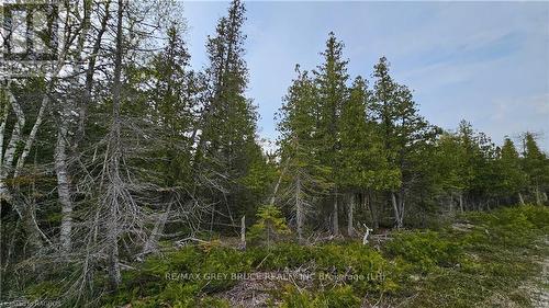 Lt 255 Pl 433 Pedwell Pt Drive, Northern Bruce Peninsula, ON 