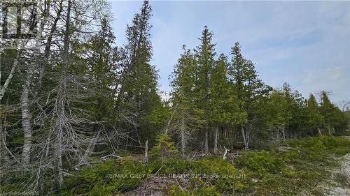 Lt 255 Pl 433 Pedwell Pt Drive, Northern Bruce Peninsula, ON 