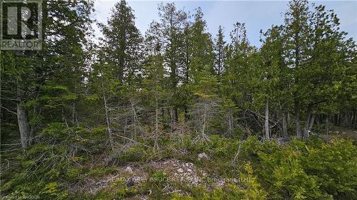 Lt 255 Pl 433 Pedwell Pt Drive, Northern Bruce Peninsula, ON 