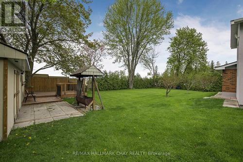 3800 County 88 Road, Bradford West Gwillimbury, ON - Outdoor With Backyard