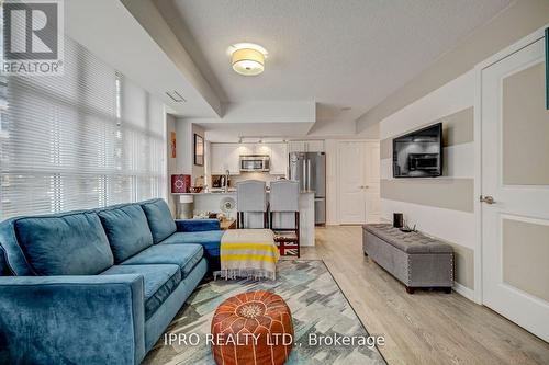 224 - 65 East Liberty Street, Toronto, ON - Indoor Photo Showing Living Room