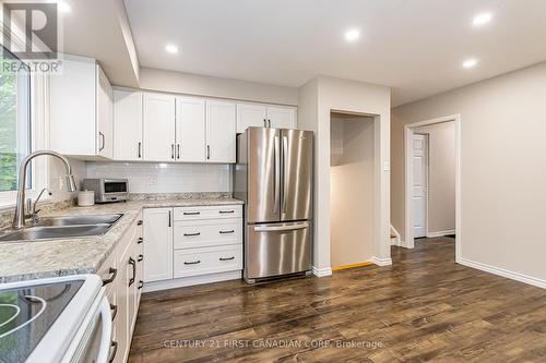 30 Springfield Crescent, London, ON - Indoor Photo Showing Kitchen With Double Sink