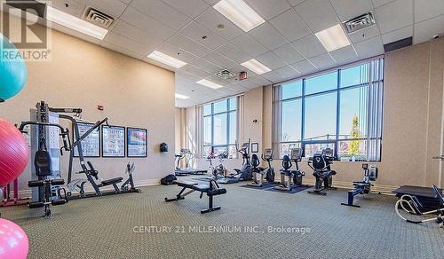 116 - 65 Via Rosedale Way, Brampton, ON - Indoor Photo Showing Gym Room