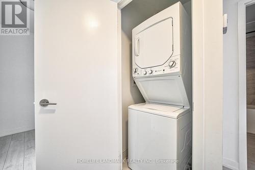 209 - 270 Dufferin Street, Toronto, ON - Indoor Photo Showing Laundry Room