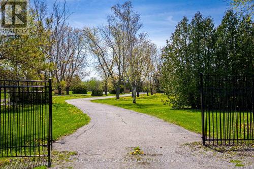 5404 County Road 1 Road, Prince Edward County, ON - Outdoor