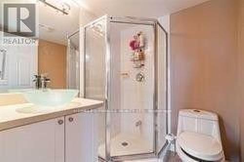 46 - 60 Fairwood Circle, Brampton, ON - Indoor Photo Showing Bathroom