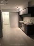 4601 - 181 Dundas Street E, Toronto, ON  - Indoor Photo Showing Kitchen 