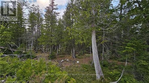 Lt 254 Pl 433 Dorcas Bay Road, Northern Bruce Peninsula, ON 