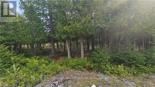 Lt 254 Pl 433 Dorcas Bay Road, Northern Bruce Peninsula, ON 